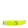 ZEE DOG - COLLARE IN NEOPRENE LIME -Negozio Biopetstore economico ZEE DOG COLLARE IN NEOPRENE LIME