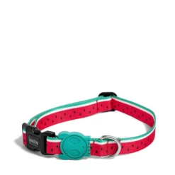 ZEE DOG - COLLARE LOLA