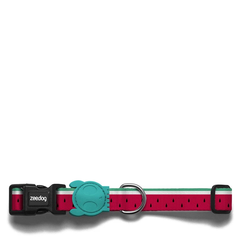 ZEE DOG - COLLARE LOLA 6 ZEE DOG - COLLARE LOLA - immagine 4