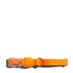 ZEE DOG - COLLARE NEOPRENE TANGERINE -Negozio Biopetstore economico ZEE DOG COLLARE NEOPRENE TANGERINE 1