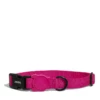 ZEE DOG - COLLARE PINK LED -Negozio Biopetstore economico ZEE DOG COLLARE PINK LED