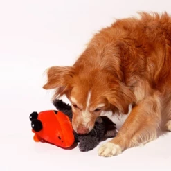 ZEE DOG - COLLEZIONE ANIMALI MUTANTI PORKDUFANT 5 ZEE DOG - COLLEZIONE ANIMALI MUTANTI PORKDUFANT -Negozio Biopetstore economico ZEE DOG COLLEZIONE ANIMALI MUTANTI PORKDUFANT 1