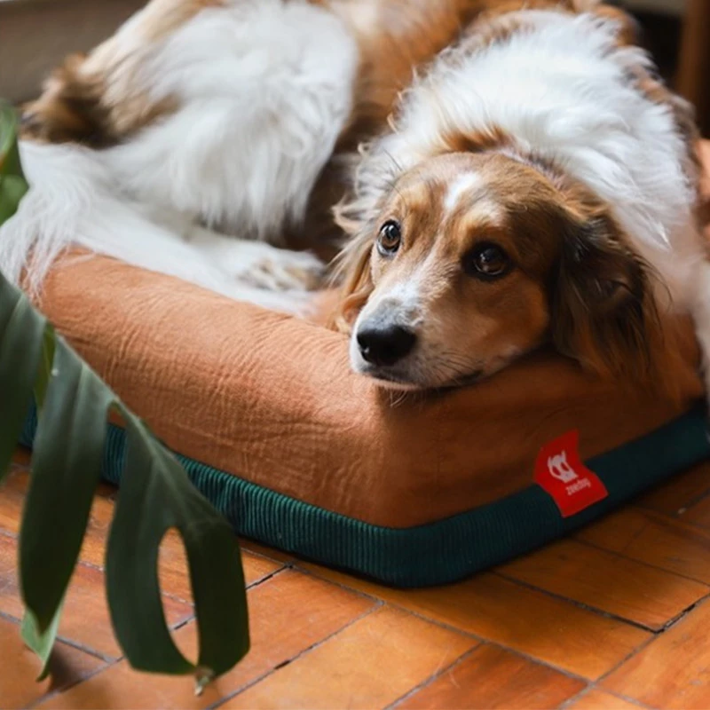 ZEE DOG - FODERA PER CUCCIA IN MEMORY FOAM - DUSK 5 ZEE DOG - FODERA PER CUCCIA IN MEMORY FOAM - DUSK - immagine 3