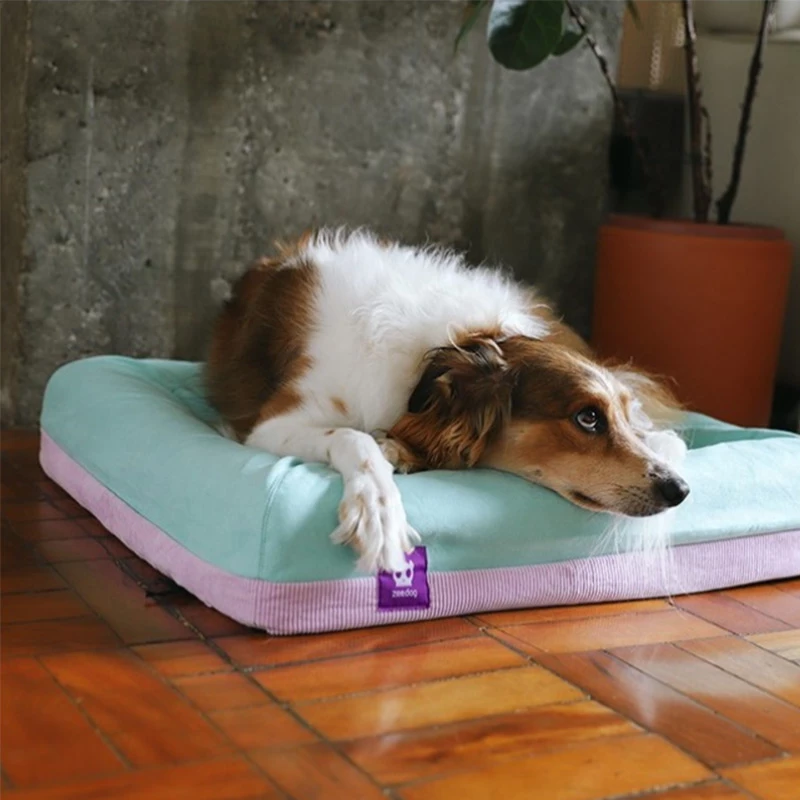 ZEE DOG - FODERA PER CUCCIA IN MEMORY FOAM - LOTUS 4 ZEE DOG - FODERA PER CUCCIA IN MEMORY FOAM - LOTUS - immagine 2