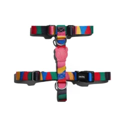 ZEE DOG - PETTORINA AD H CHROMA