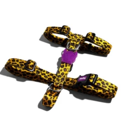 ZEE DOG - PETTORINA AD HHONEY -Negozio Biopetstore economico ZEE DOG PETTORINA AD H HONEY 1