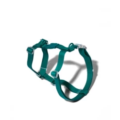 ZEE DOG - PETTORINA AD H IN NEOPRENE AMAZZONIA -Negozio Biopetstore economico ZEE DOG PETTORINA AD H IN NEOPRENE AMAZZONIA 1