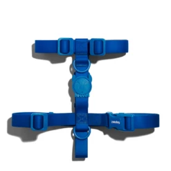 ZEE DOG - PETTORINA AD H NEOPRENE BLU