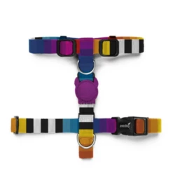 ZEE DOG - PETTORINA AD H PRISMA