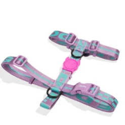 ZEE DOG - PETTORINA AURA -Negozio Biopetstore economico ZEE DOG PETTORINA AURA 1