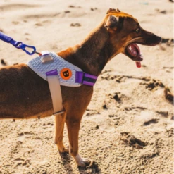 ZEE DOG - PETTORINA FLY ACG -Negozio Biopetstore economico ZEE DOG PETTORINA FLY ACG 1