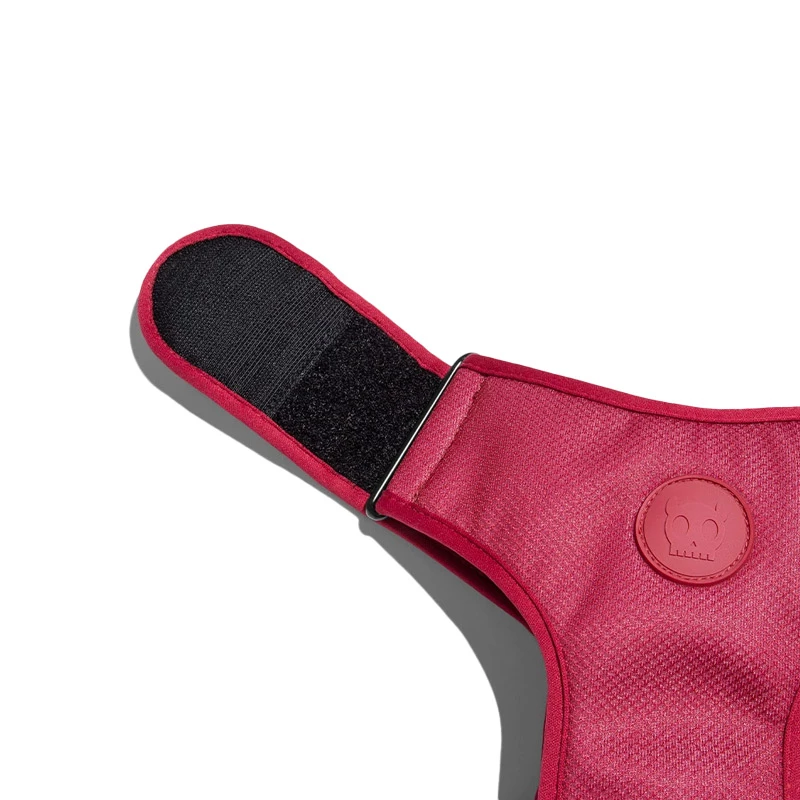 ZEE DOG - PETTORINA MESH PLUS REGOLABILE - BORDEAU 5 ZEE DOG - PETTORINA MESH PLUS REGOLABILE - BORDEAU - immagine 3