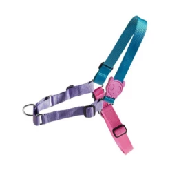 ZEE DOG - PETTORINA SOFT - WALK AURORA