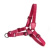 ZEE DOG - PETTORINA SOFT-WALK BORDEAU