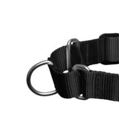 ZEE DOG - PETTORINA SOFT-WALK FATBOY 7 ZEE DOG - PETTORINA SOFT-WALK FATBOY -Negozio Biopetstore economico ZEE DOG PETTORINA SOFT WALK FATBOY 2