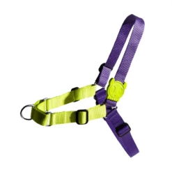 ZEE DOG - PETTORINA SOFT-WALK LEMONADE