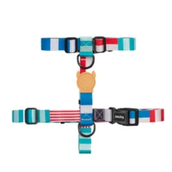 ZEE DOG - PETTORINA YACHT